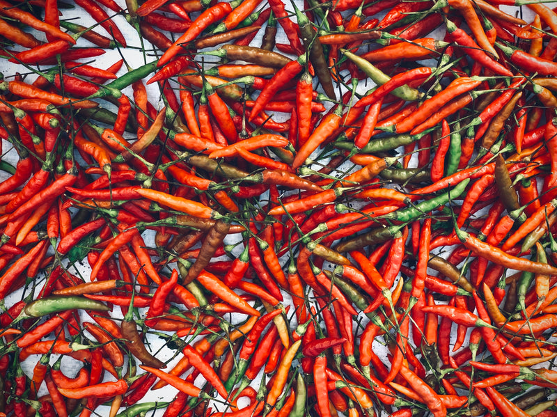 Chillies - Birdseye Red (Scud/Thai)