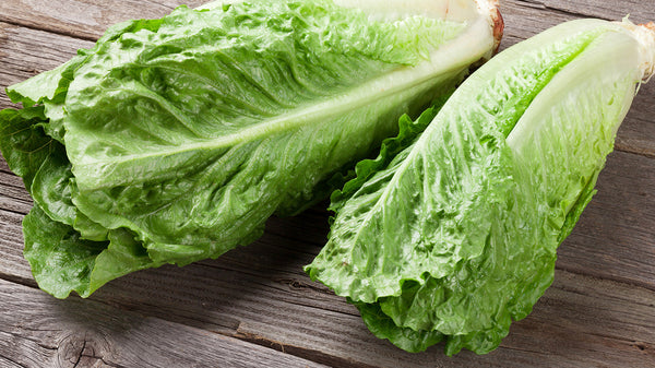 Lettuce - Cos