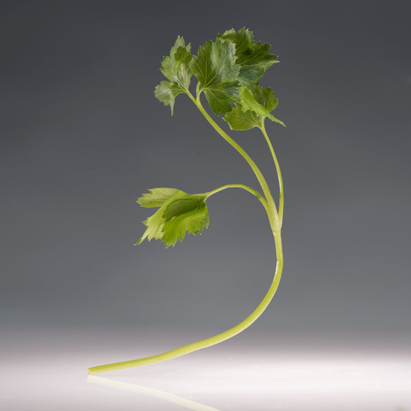 Micro Celery