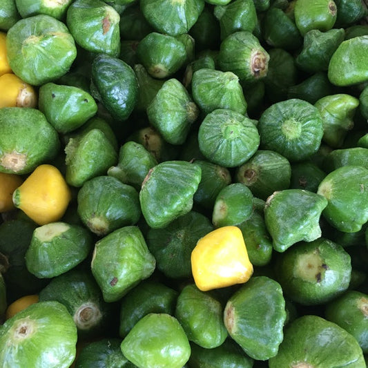 Squash - Patty Pan Green