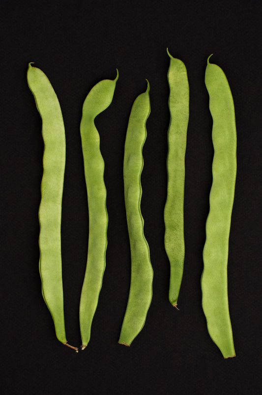 Beans Helda flat