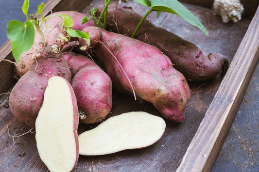 White Sweet Potato