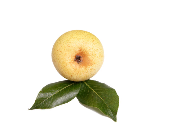 Pears - Nashi / Asian