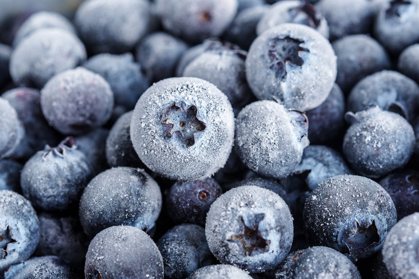 Frozen Blueberries