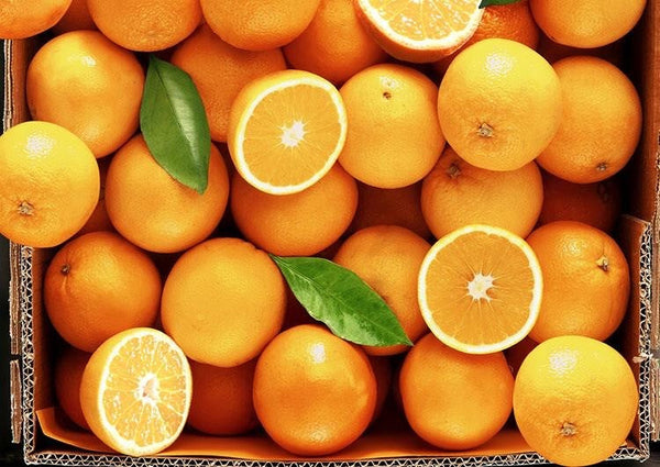 Oranges - Medium