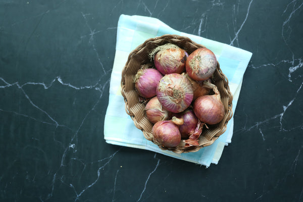 Pink Onions - Fresh 'Albenga'