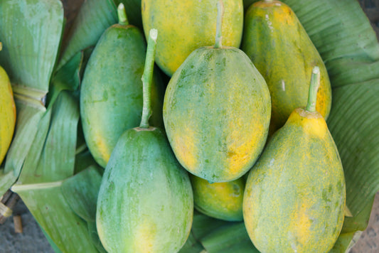 Papaya