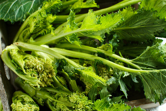 Cime Di Rapa