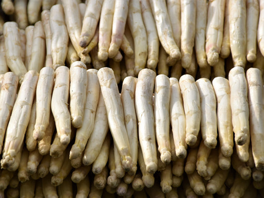 Asparagus - White