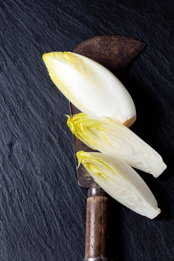 Chicory - White