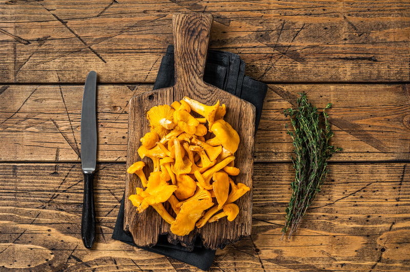 Mushrooms Gourmet - Chanterelle