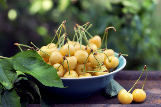 Cherries - White