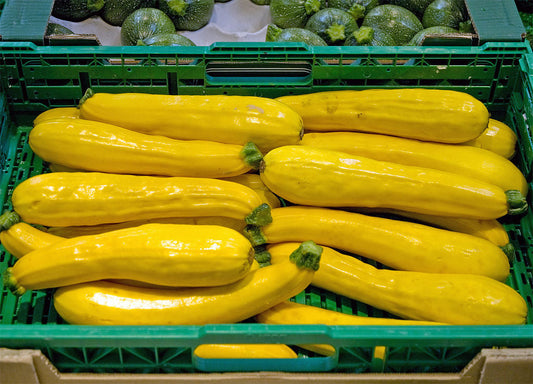 Courgettes - Yellow