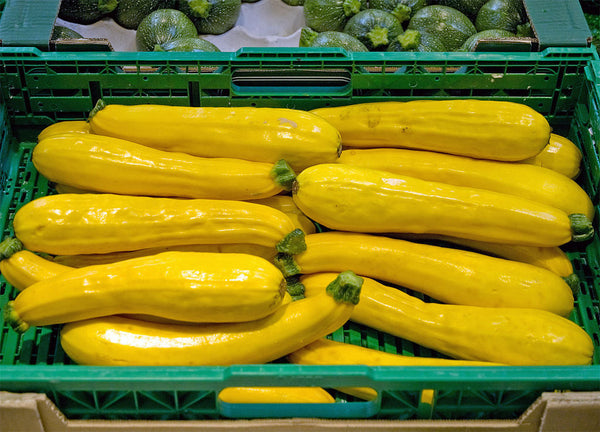 Courgettes - Yellow