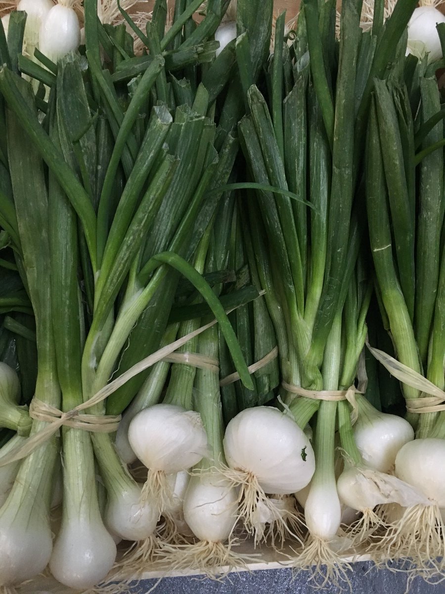 Grelot Onions