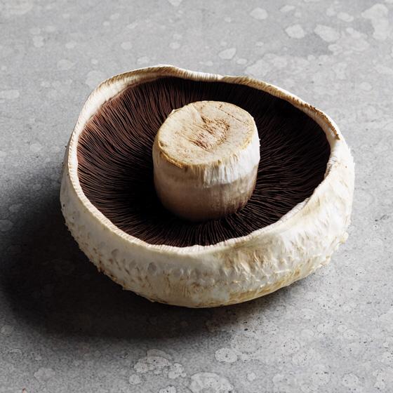 Flat Mushrooms