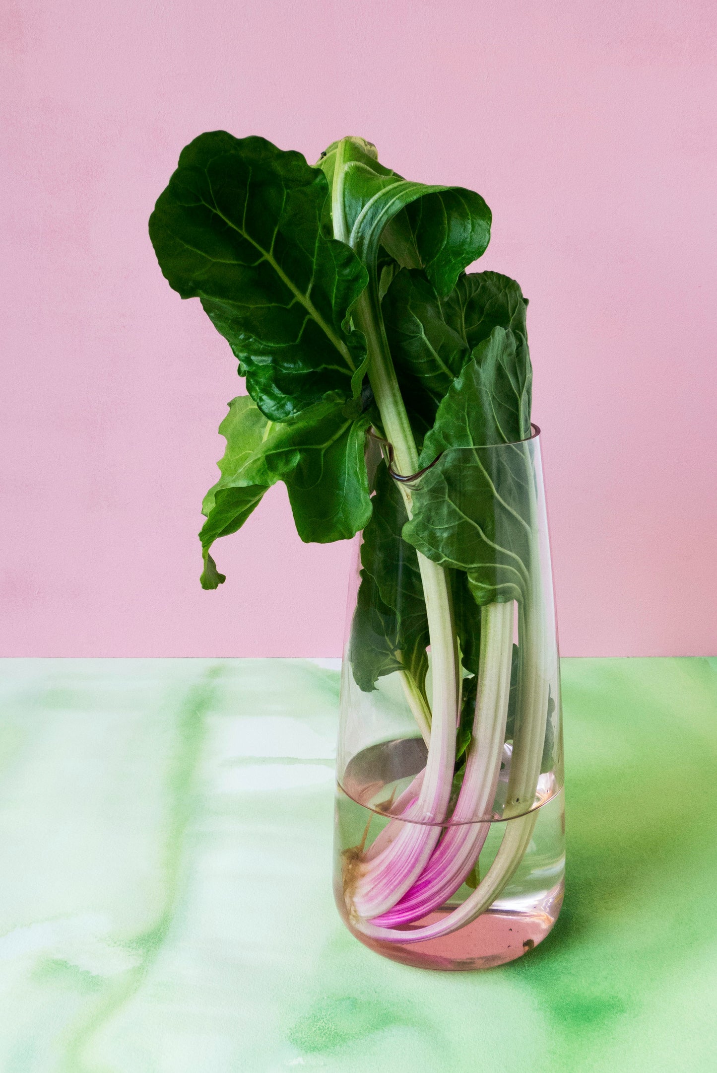 Swiss Chard