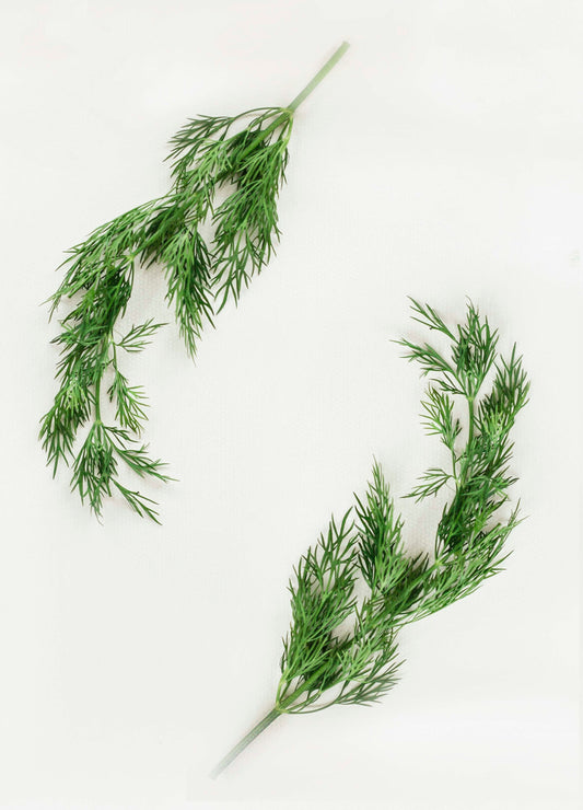 Dill