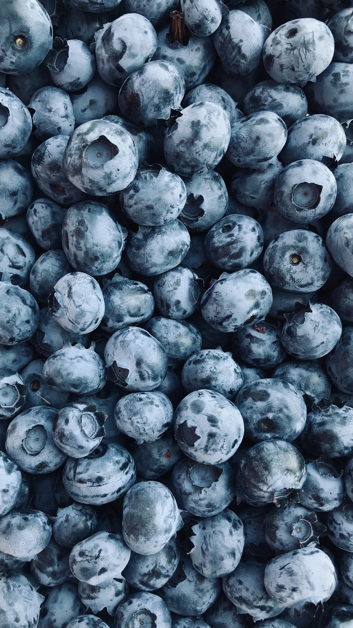Blueberries