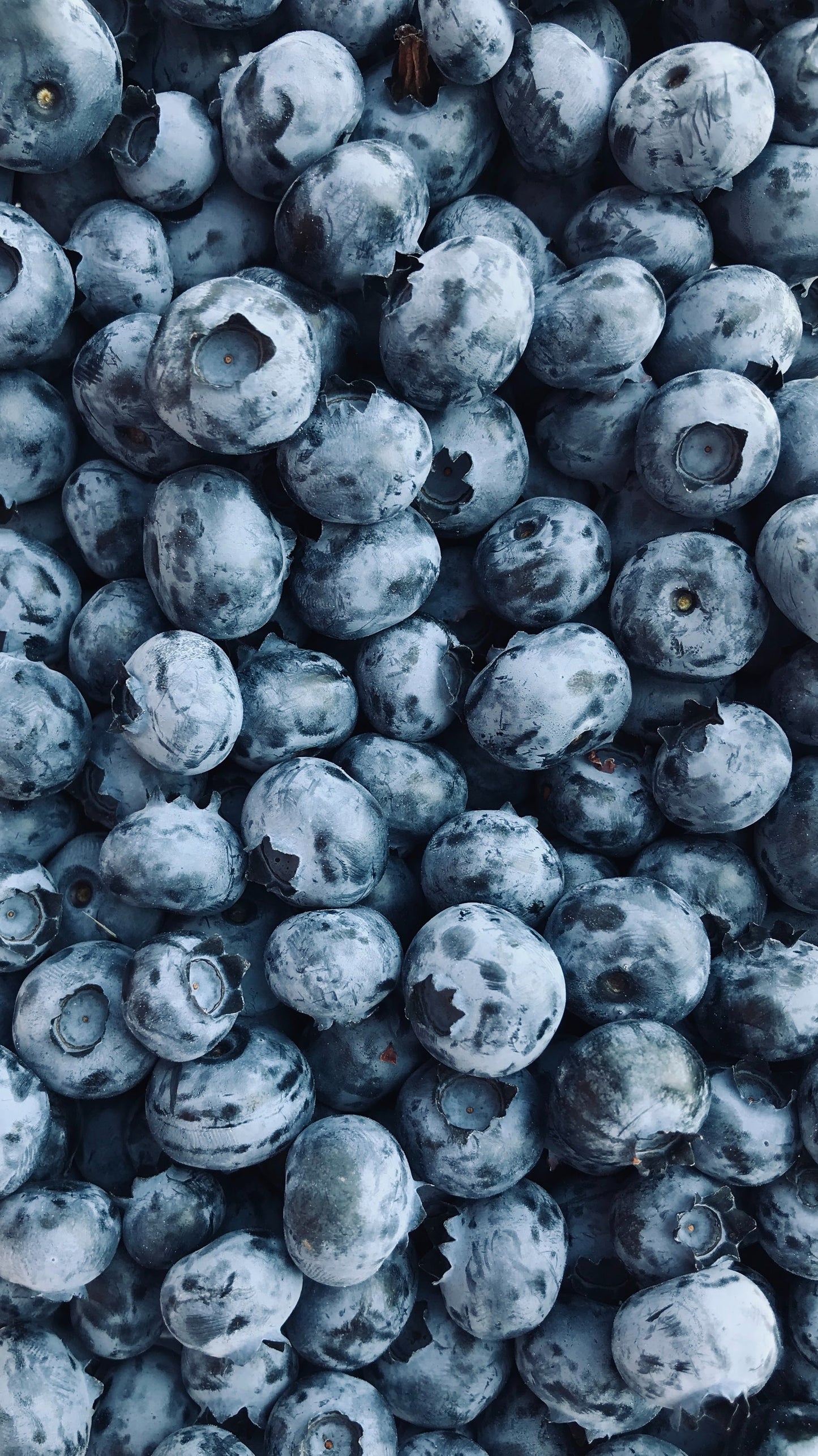Blueberries